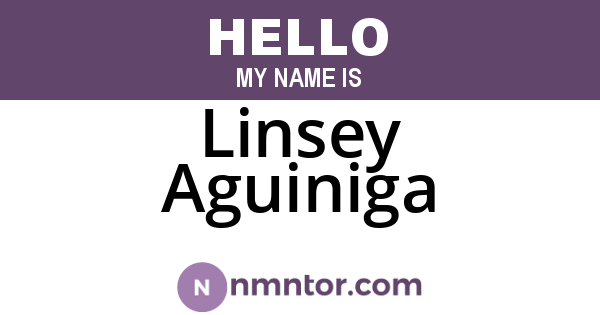 Linsey Aguiniga