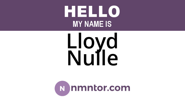 Lloyd Nulle