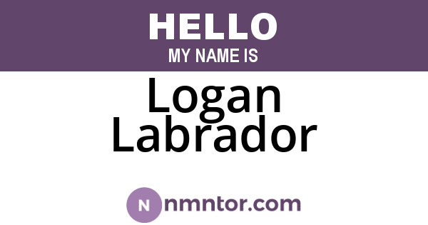 Logan Labrador