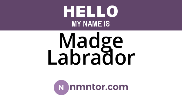 Madge Labrador