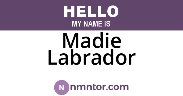 Madie Labrador
