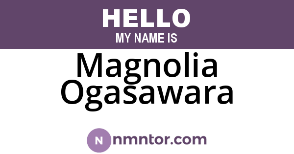 Magnolia Ogasawara