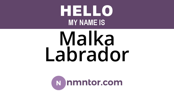 Malka Labrador