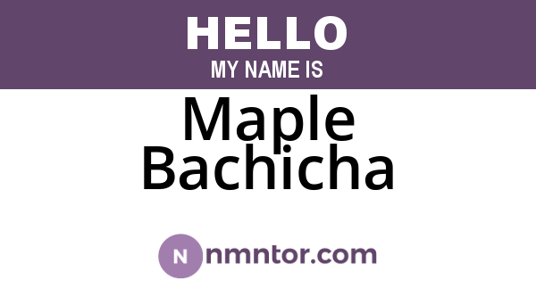 Maple Bachicha