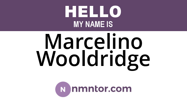 Marcelino Wooldridge