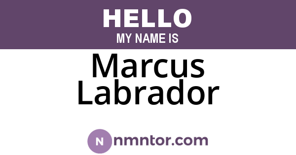 Marcus Labrador
