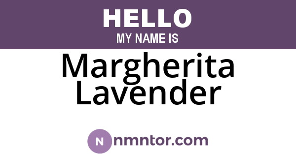 Margherita Lavender