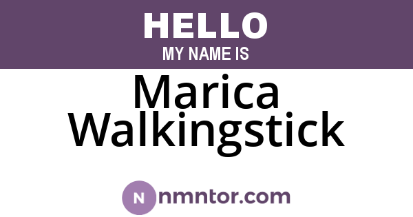 Marica Walkingstick