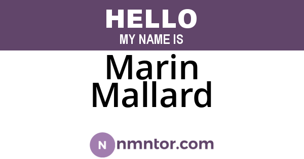 Marin Mallard