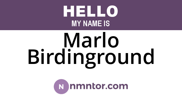 Marlo Birdinground