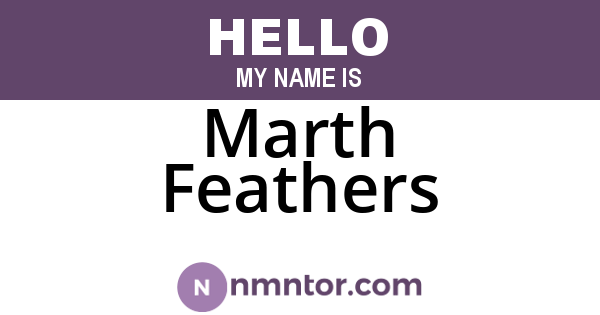 Marth Feathers
