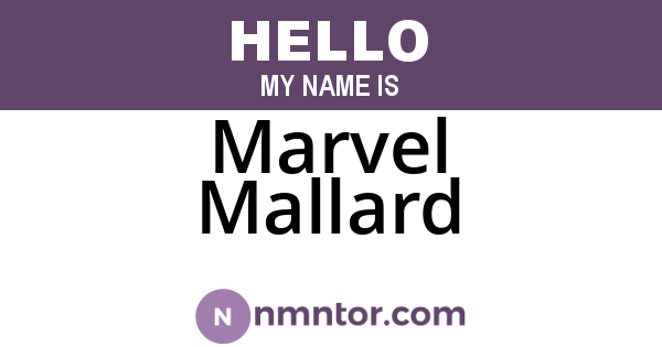 Marvel Mallard