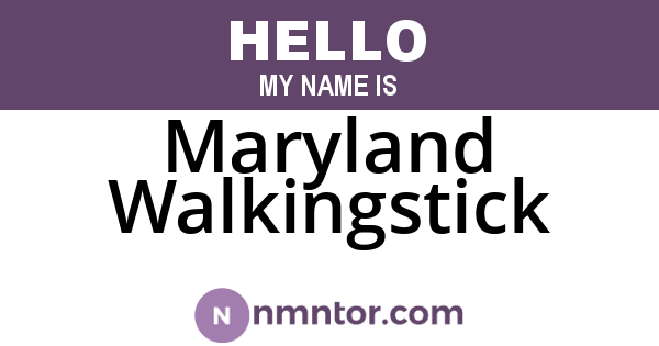 Maryland Walkingstick