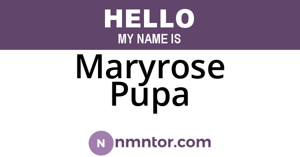 Maryrose Pupa