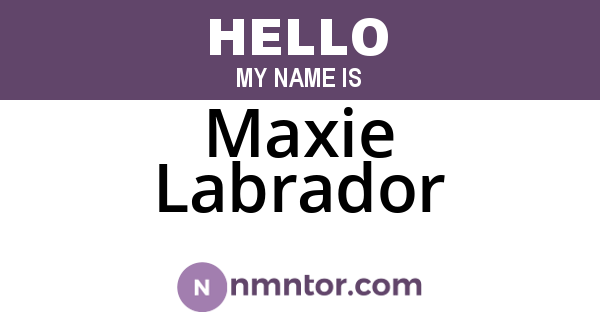 Maxie Labrador