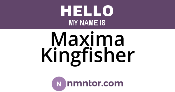 Maxima Kingfisher
