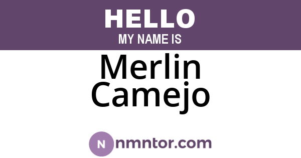Merlin Camejo