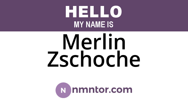 Merlin Zschoche
