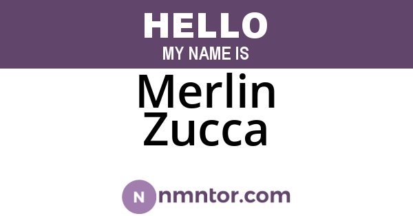 Merlin Zucca