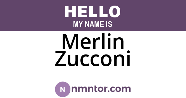 Merlin Zucconi