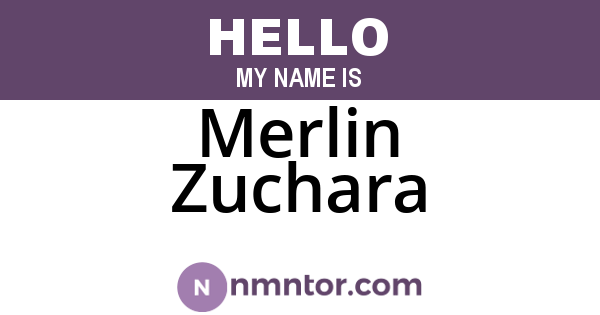 Merlin Zuchara