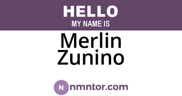 Merlin Zunino