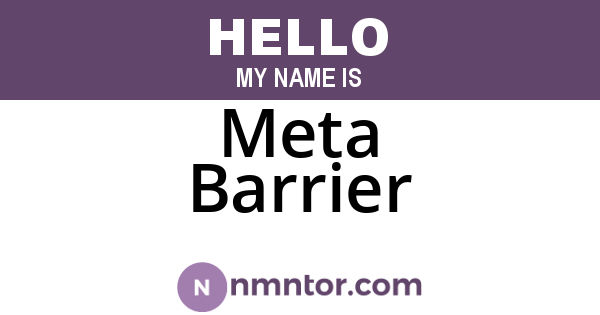 Meta Barrier