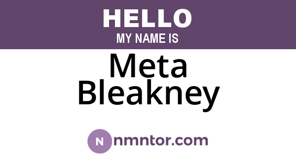 Meta Bleakney
