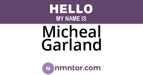 Micheal Garland