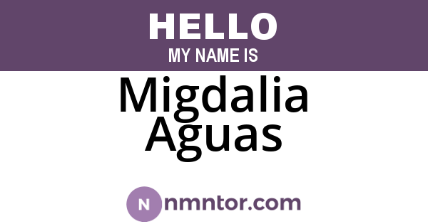 Migdalia Aguas
