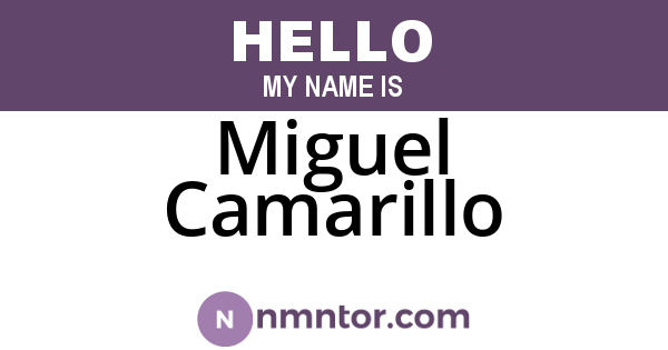 Miguel Camarillo