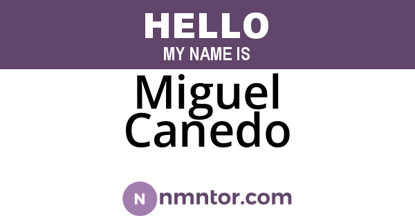 Miguel Canedo