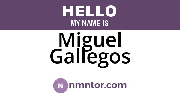 Miguel Gallegos