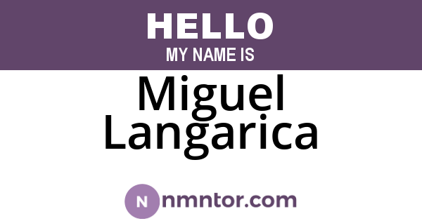 Miguel Langarica