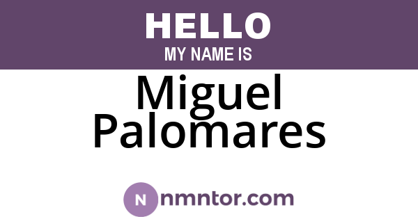 Miguel Palomares