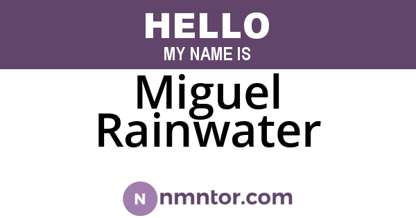 Miguel Rainwater