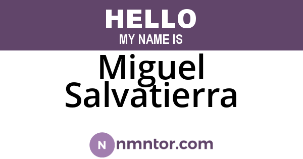 Miguel Salvatierra