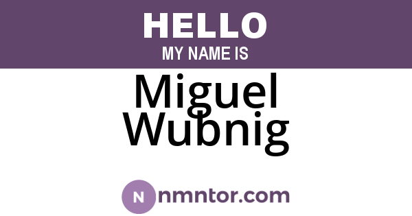 Miguel Wubnig