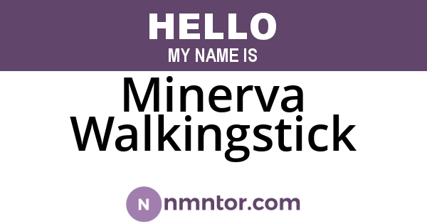 Minerva Walkingstick