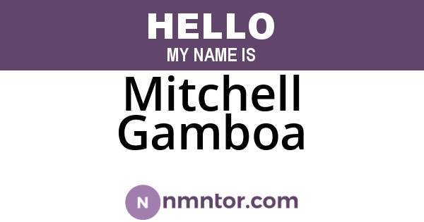 Mitchell Gamboa
