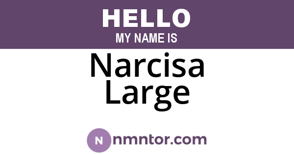 Narcisa Large
