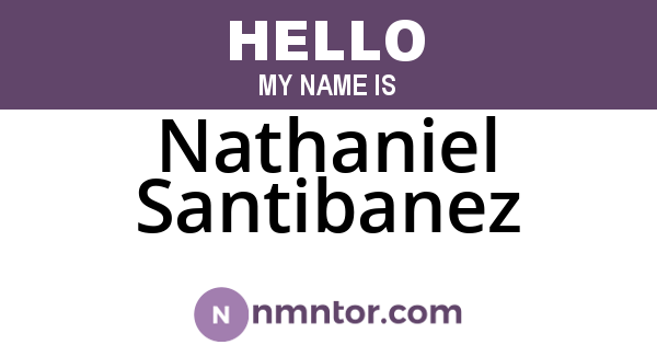 Nathaniel Santibanez