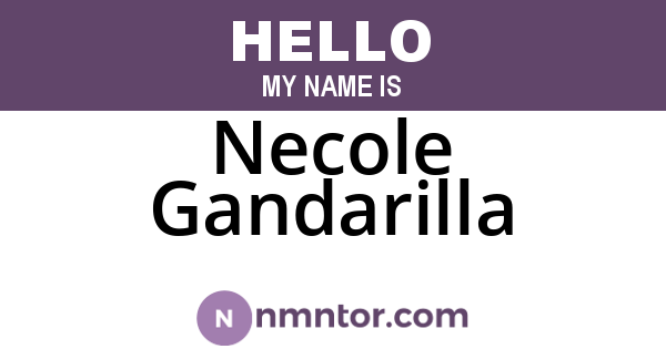 Necole Gandarilla