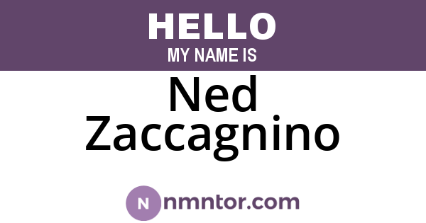 Ned Zaccagnino