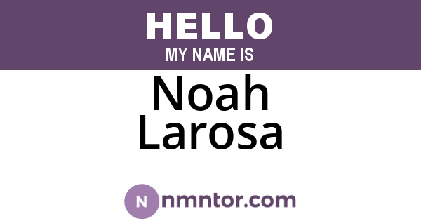 Noah Larosa