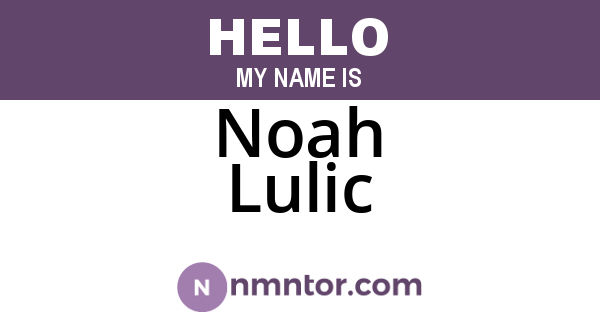 Noah Lulic