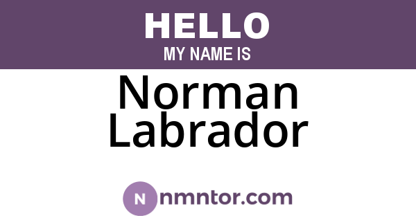 Norman Labrador
