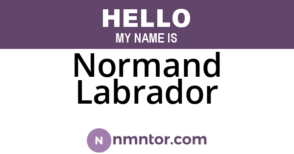Normand Labrador