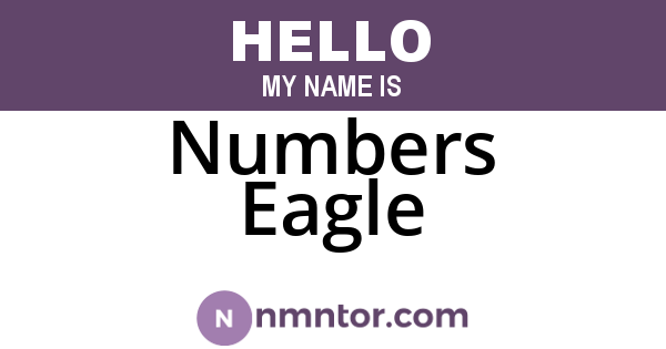 Numbers Eagle