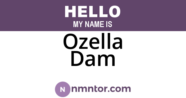 Ozella Dam
